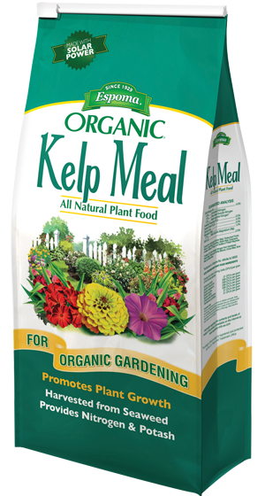KELP MEAL 4 LBS